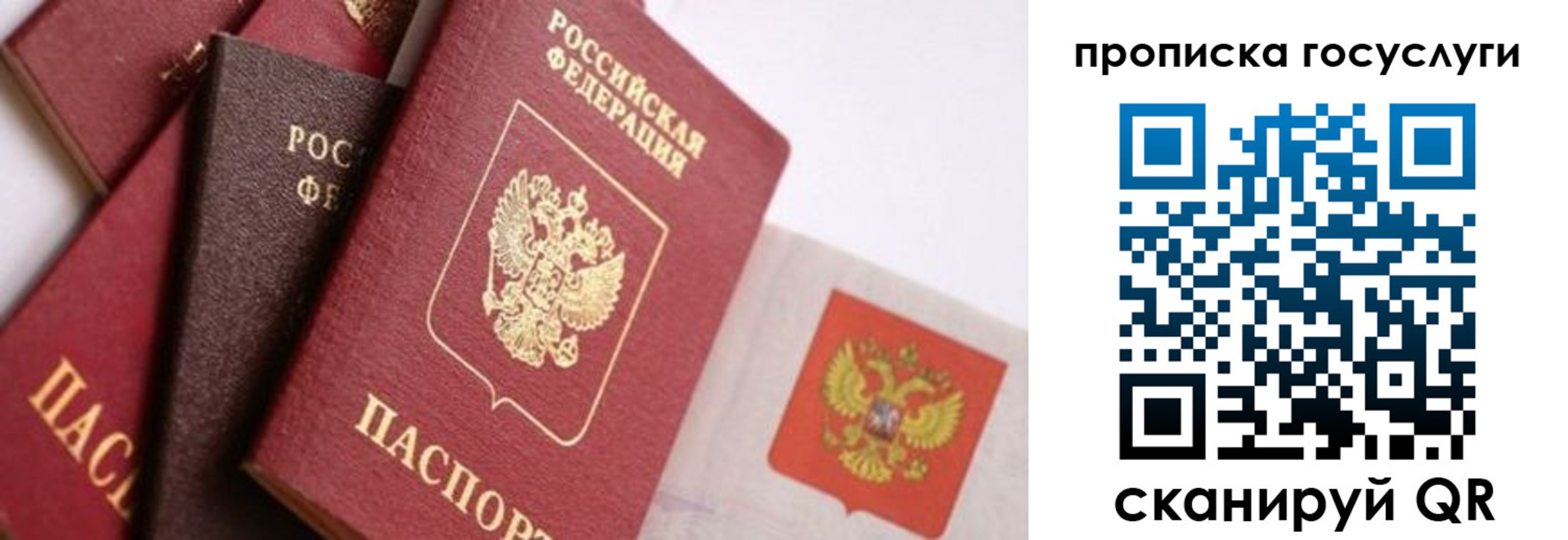прописка законно в Боровске